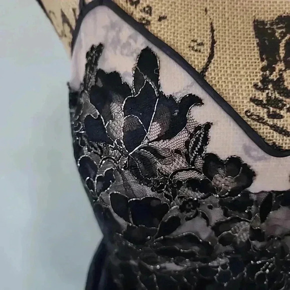 VANITY Fair Lace Slip Tutu dress. Size 38/ Medium - Picture 4 of 11